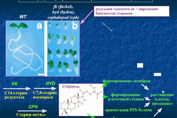 Кракен шоп зеркало