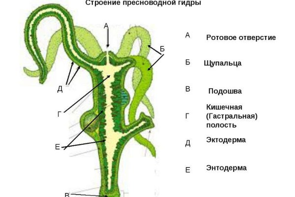 Кракен вход рабочий