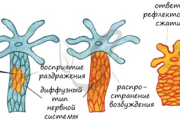 Магазины наркотиков